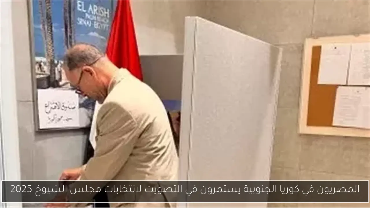 المصريون في كوريا الجنوبية يستمرون في التصويت لانتخابات مجلس الشيوخ 2025