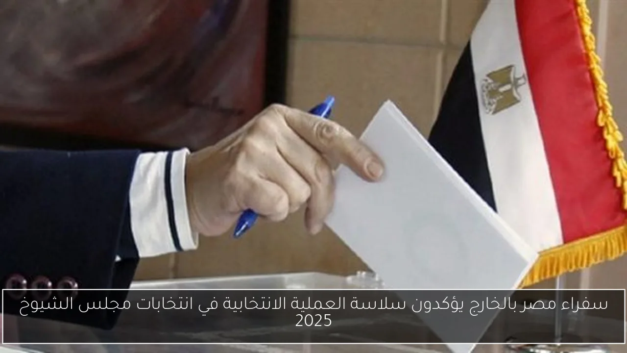 سفراء مصر بالخارج يؤكدون سلاسة العملية الانتخابية في انتخابات مجلس الشيوخ 2025