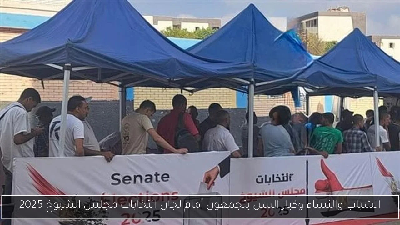 الشباب والنساء وكبار السن يتجمعون أمام لجان انتخابات مجلس الشيوخ 2025