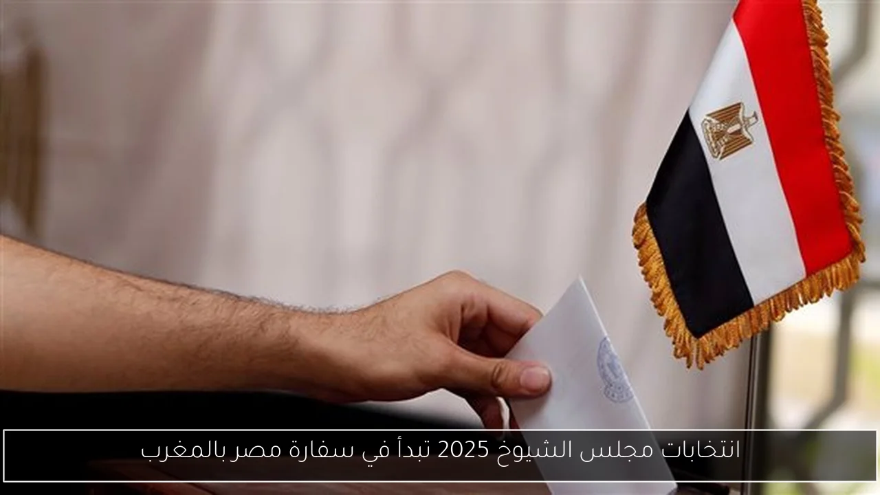 شراكات عالمية تمهد لتوطين صناعة السيارات الكهربائية في مصر