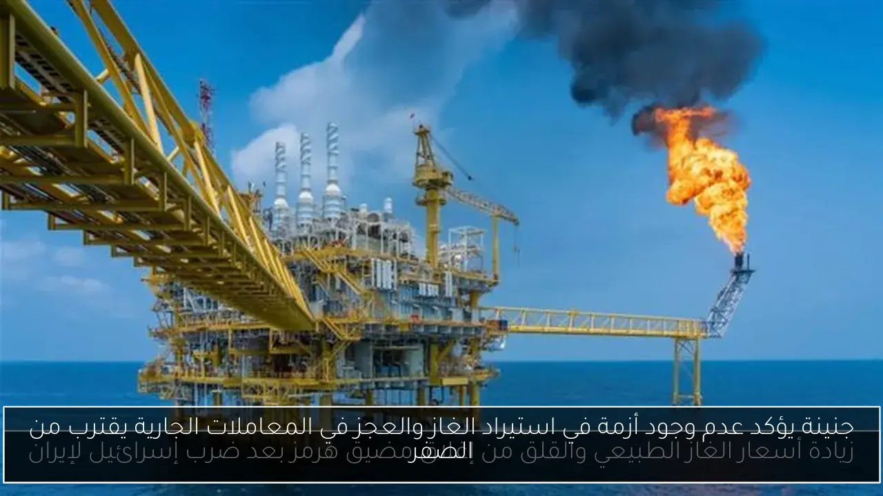 جنينة يؤكد عدم وجود أزمة في استيراد الغاز والعجز في المعاملات الجارية يقترب من الصفر