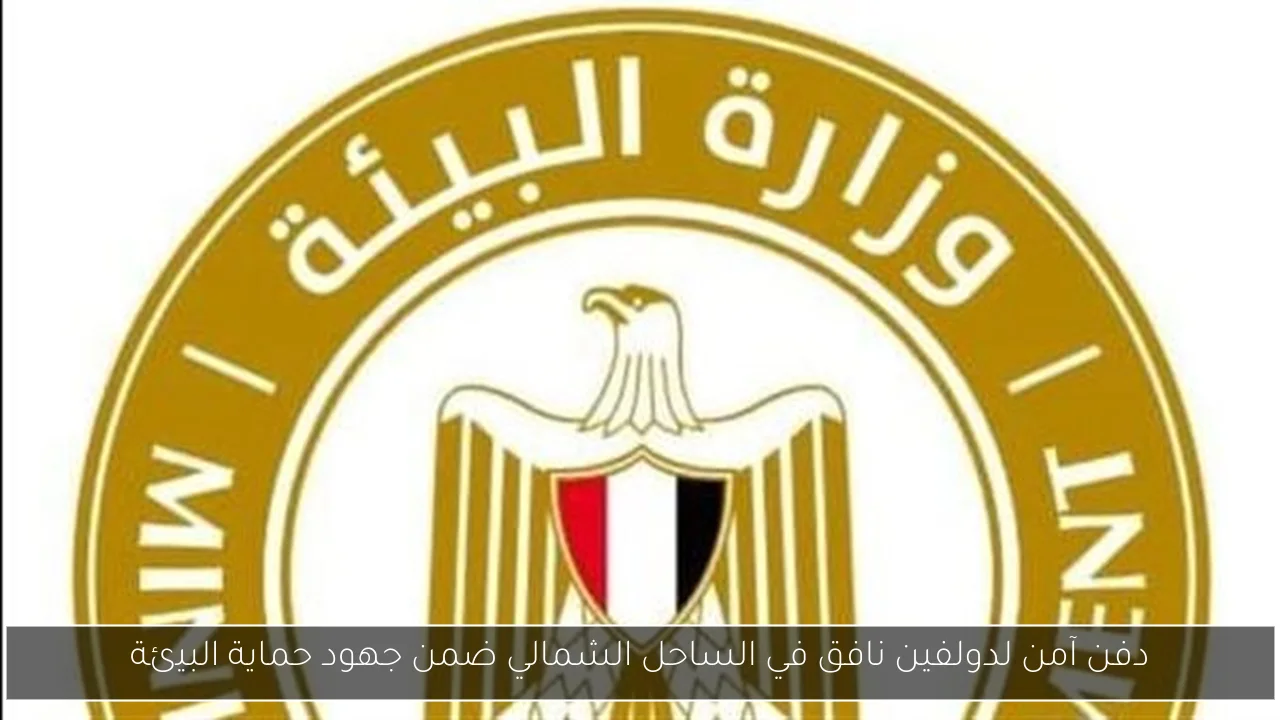 دفن آمن لدولفين نافق في الساحل الشمالي ضمن جهود حماية البيئة