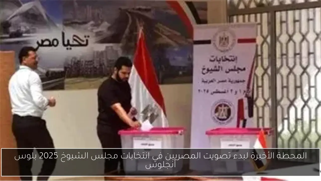 المحطة الأخيرة لبدء تصويت المصريين في انتخابات مجلس الشيوخ 2025 بلوس أنجلوس
