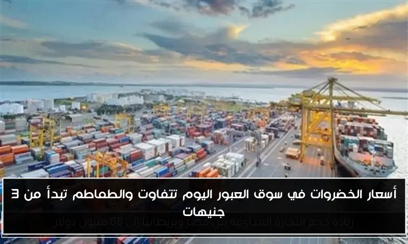 أسعار الخضروات في سوق العبور اليوم تتفاوت والطماطم تبدأ من 3 جنيهات