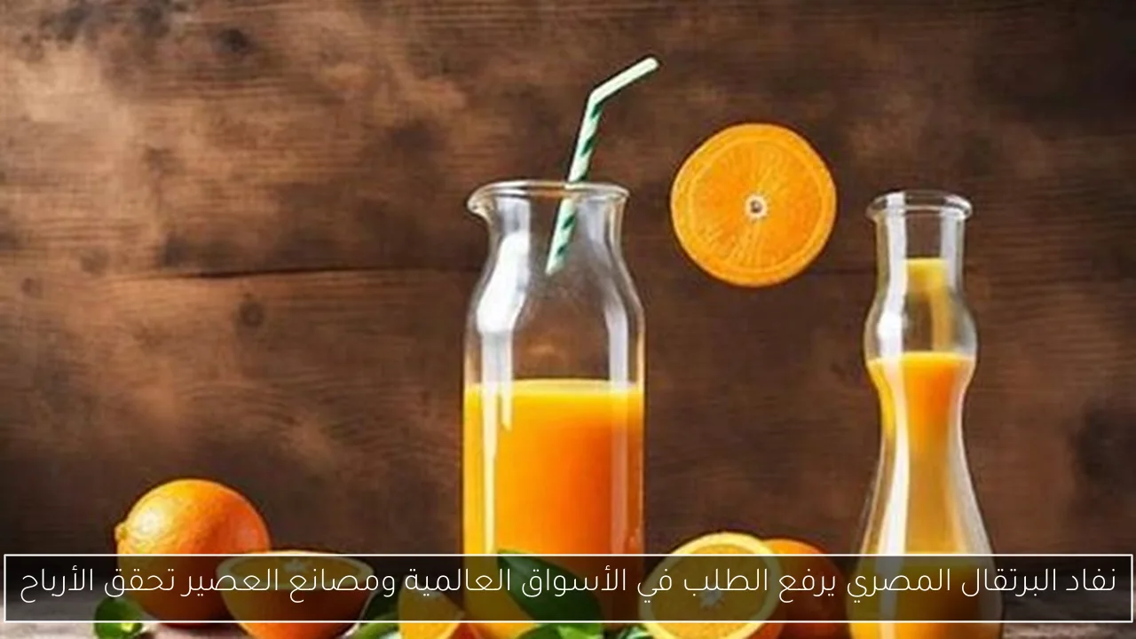 نفاد البرتقال المصري يرفع الطلب في الأسواق العالمية ومصانع العصير تحقق الأرباح