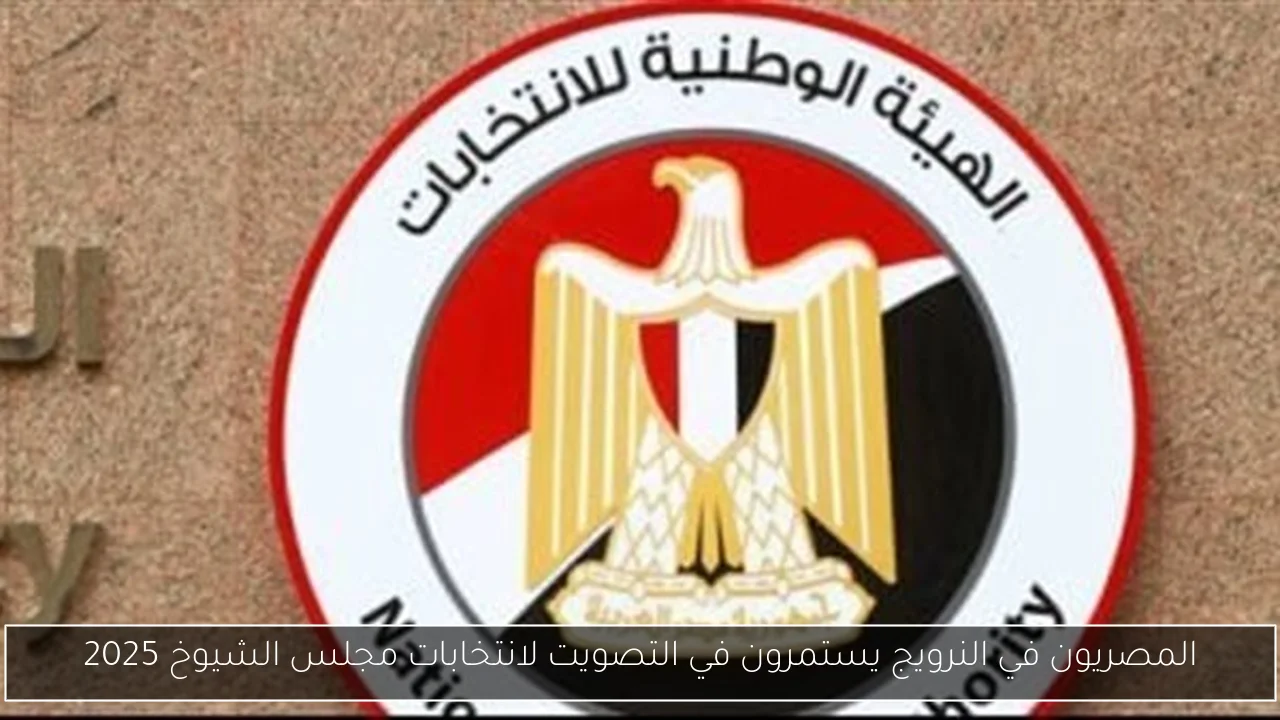 المصريون في النرويج يستمرون في التصويت لانتخابات مجلس الشيوخ 2025