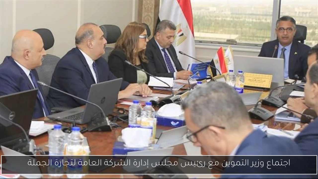 اجتماع وزير التموين مع رئيس مجلس إدارة الشركة العامة لتجارة الجملة