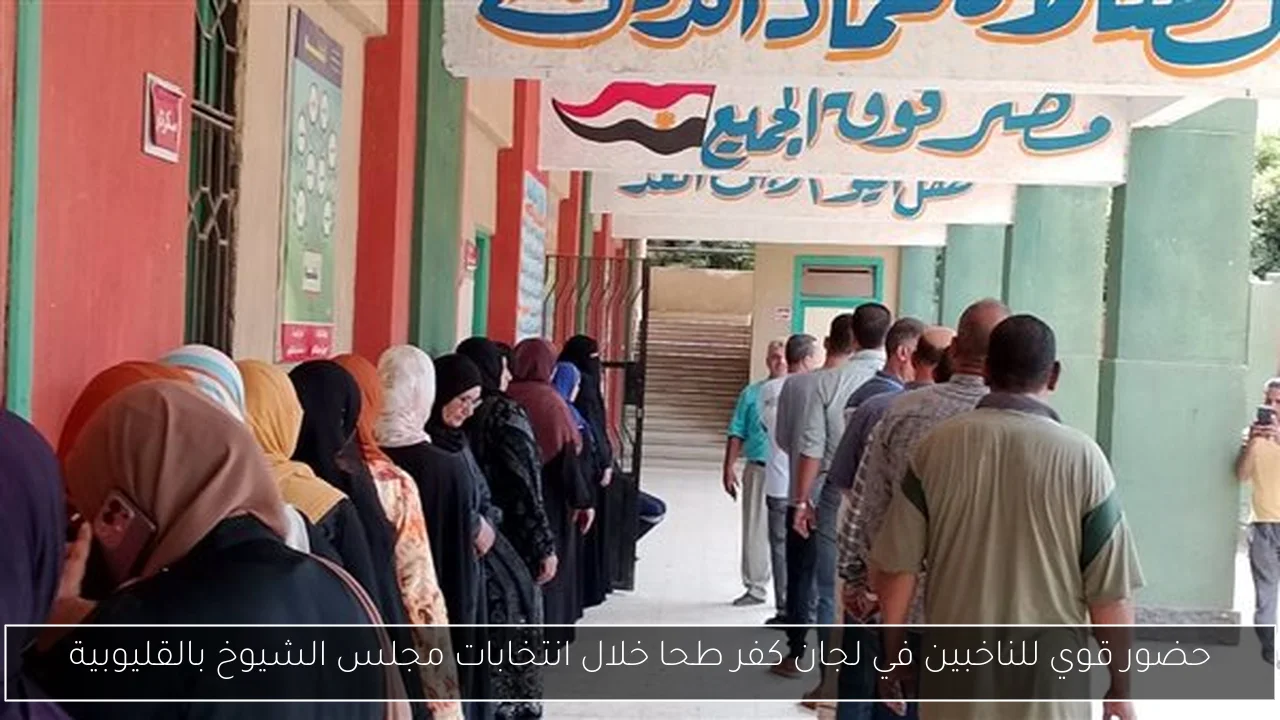 حضور قوي للناخبين في لجان كفر طحا خلال انتخابات مجلس الشيوخ بالقليوبية