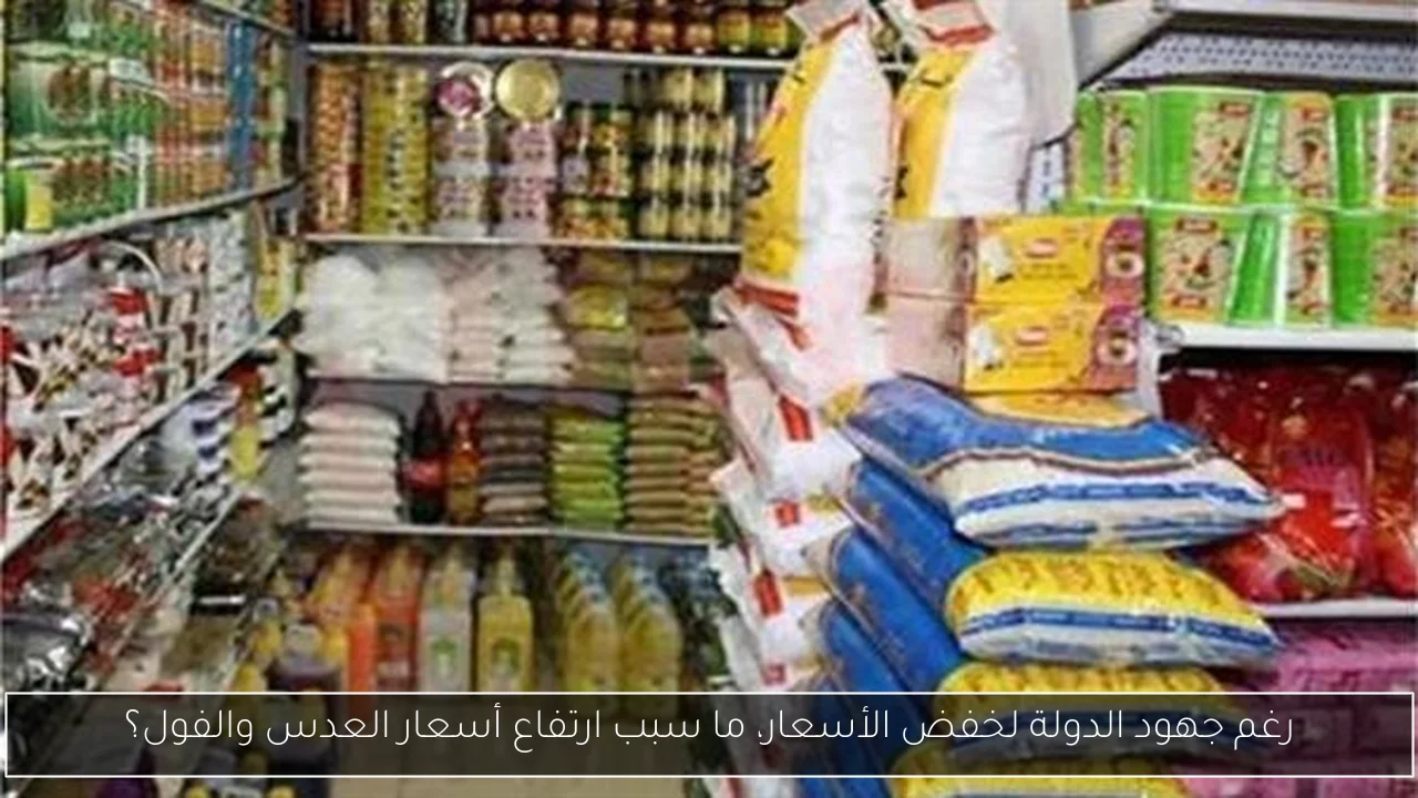 رغم جهود الدولة لخفض الأسعار، ما سبب ارتفاع أسعار العدس والفول؟