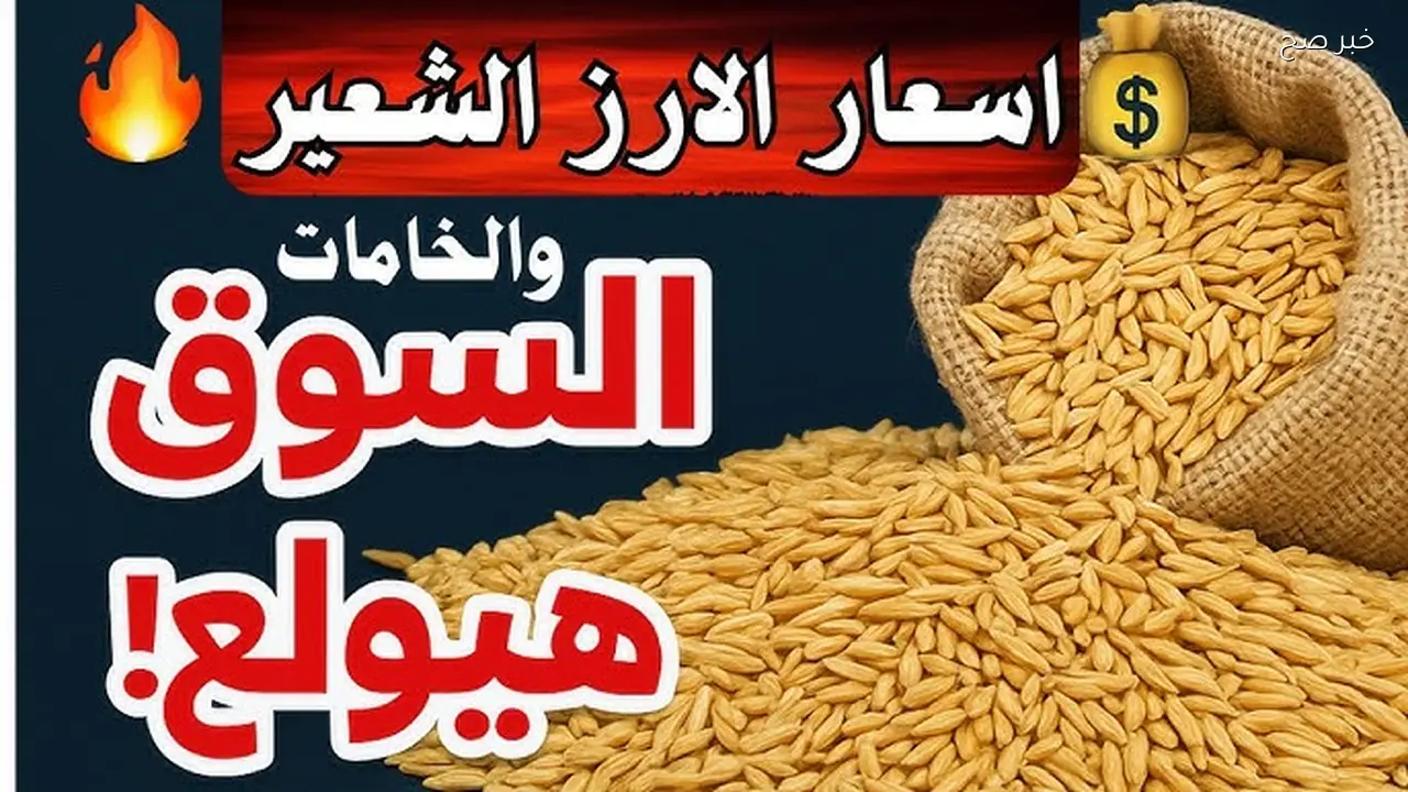 سعر الأرز الشعير اليوم