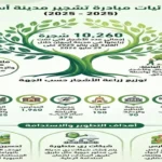 أسوان تزرع 10 آلاف شجرة لتعزيز المساحات الخضراء
