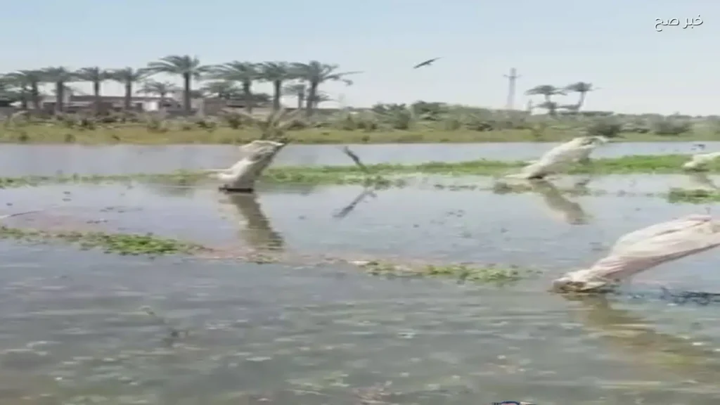 انهيار جسر الترعة يغمر 10 أفدنة في عزبة أبو النور بالعياط