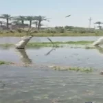 انهيار جسر الترعة يغمر 10 أفدنة في عزبة أبو النور بالعياط