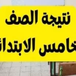 نتيجة الصف الخامس الابتدائي الترم الثاني بالأسم ورقم الجلوس