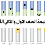 نتيجة الصف الأول والثاني الثانوي الترم الثاني بالأسم ورقم الجلوس