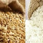 استقرار أسعار الأرز الشعير في الأسواق مع وفرة المعروض