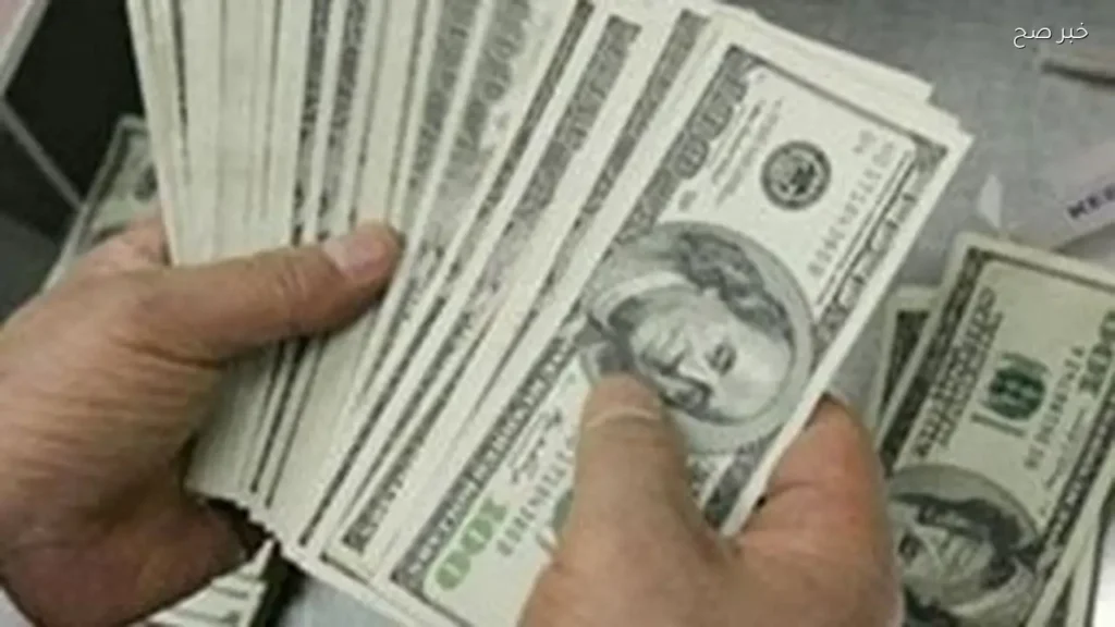 استقرار سعر الدولار مقابل الجنيه اليوم في البنوك المصرية