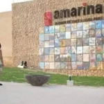 مهرجان البحر الأحمر الدولي للفنون يجمع 50 فنانًا من 20 دولة في مرسى علم