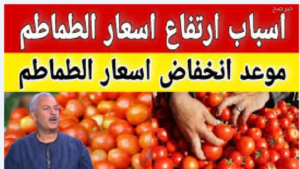 أسعار الطماطم اليوم الأربعاء في الأسواق