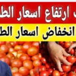 أسعار الطماطم اليوم الأربعاء في الأسواق