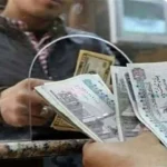 أبو العطا: تأخر صرف المعاشات يستدعي تعويضات للمتضررين