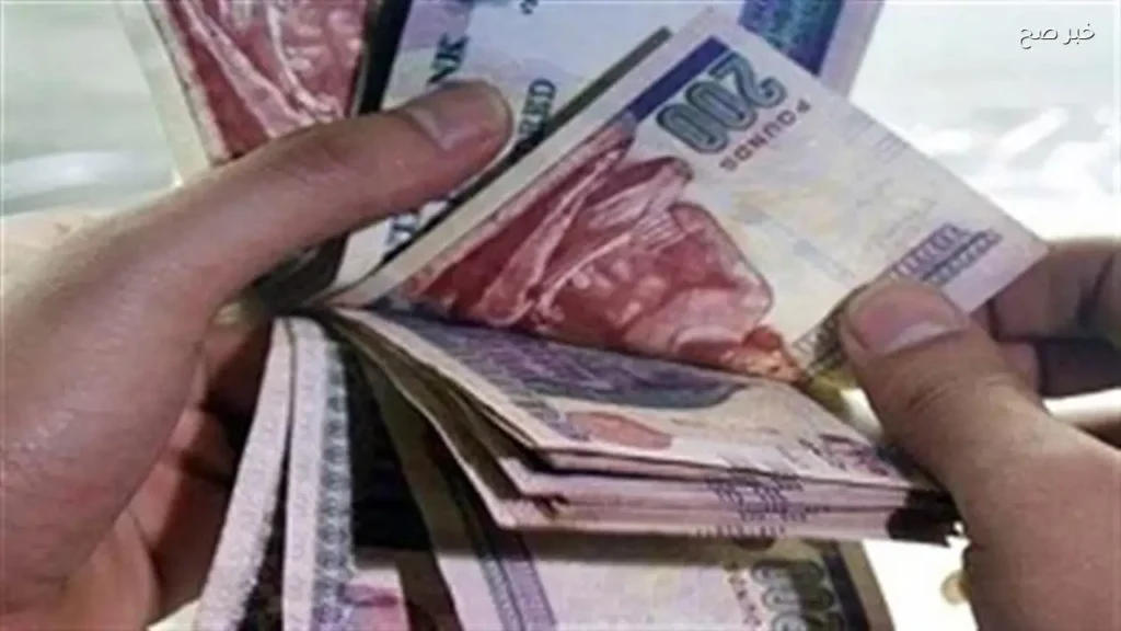 أستاذ اقتصاد: التوازن بين الإيرادات والنمو مفتاح نجاح السياسة المالية