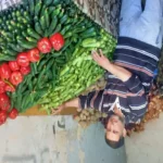 استقرار أسعار الخضار والفاكهة في مطروح اليوم الثلاثاء