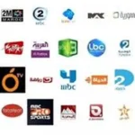 تردد قناة الجزائرية الأرضية لمتابعة مباراة الجزائر وهولندا مجانًا
