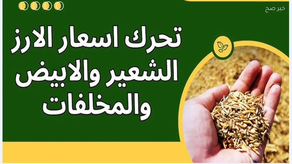 بكام الأردب.. سعر الأرز الشعير اليوم في الأسواق المحلية