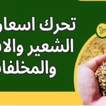 بكام الأردب.. سعر الأرز الشعير اليوم في الأسواق المحلية