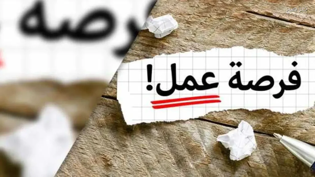 4504 فرصة عمل جديدة برواتب تصل إلى 15 ألف جنيه في 14 محافظة