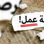 4504 فرصة عمل جديدة برواتب تصل إلى 15 ألف جنيه في 14 محافظة