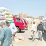 الزراعة تعلن عن توريد 4.3 مليون طن من القمح المحلي حتى الآن