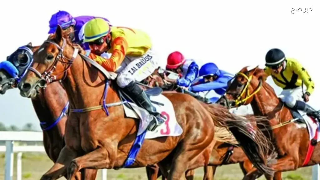 الطائف تستعد لموسم سباقات الخيل 2026 بجوائز تتجاوز 22 مليون ريال