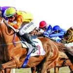 الطائف تستعد لموسم سباقات الخيل 2026 بجوائز تتجاوز 22 مليون ريال
