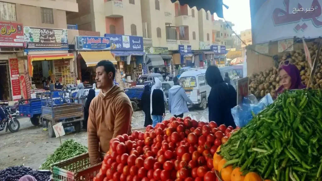 استقرار أسعار الخضار والفاكهة في مطروح اليوم الأربعاء