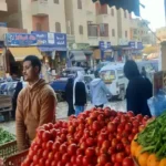 استقرار أسعار الخضار والفاكهة في مطروح اليوم الأربعاء