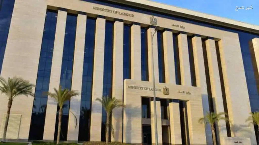 فرص عمل جديدة للشباب بالخارج براتب يصل إلى 1130 دولارًا
