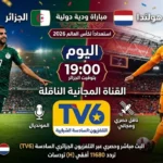القناة المجانية الناقلة لمباراة الجزائر وهولندا اليوم استعدادًا لكأس العالم 2026.. الموعد والتشكيل المتوقع