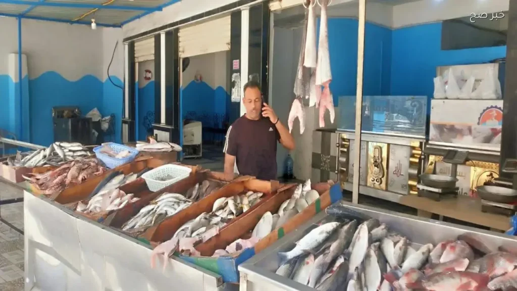 استقرار أسعار السمك في أسواق مطروح اليوم مع تسجيل المرجان بـ250 جنيهًا