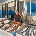 استقرار أسعار السمك في أسواق مطروح اليوم مع تسجيل المرجان بـ250 جنيهًا