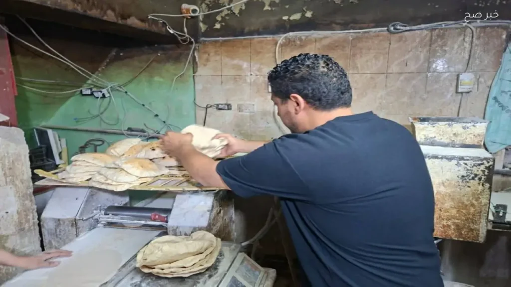 تحرير 22 محضرًا تموينيًا في كفر الزيات وبسيون