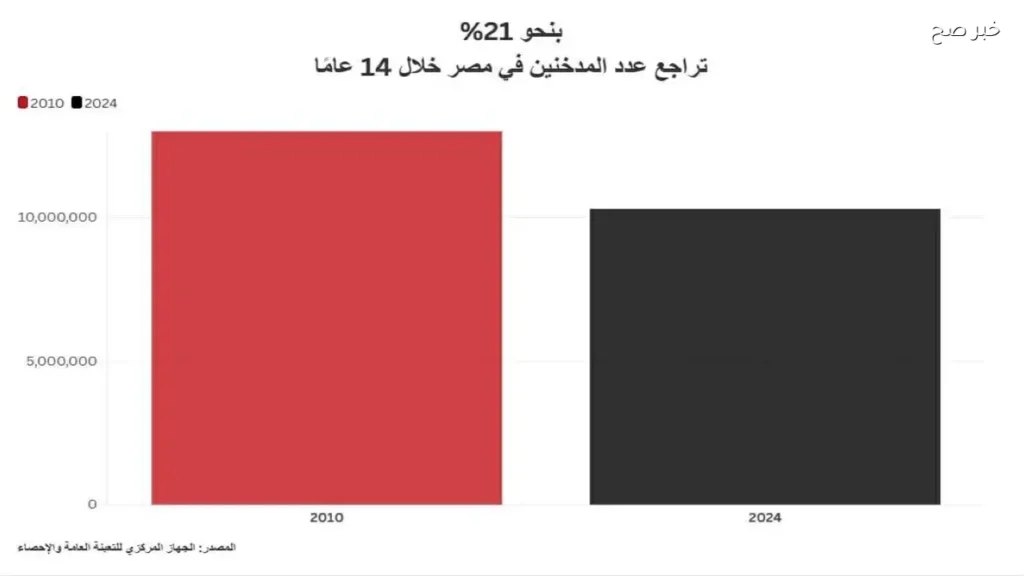 تقرير يكشف تراجع عدد المدخنين في مصر بنسبة 21% خلال 14 عامًا