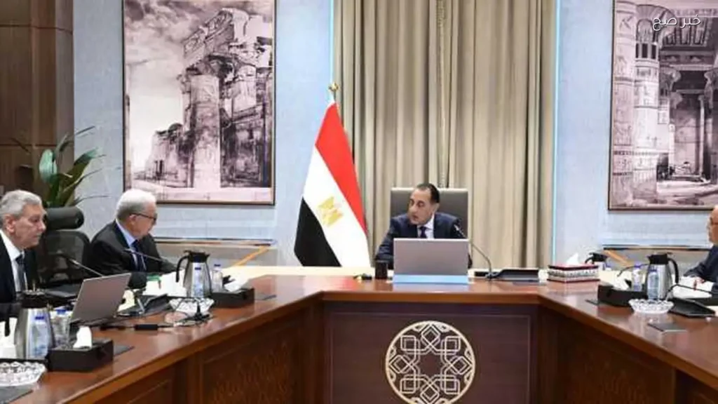 مدبولي يؤكد أهمية تطوير قطاع الدواء في مصر