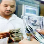 استقرار سعر الدولار مقابل الجنيه المصري اليوم 2 يونيو 2026