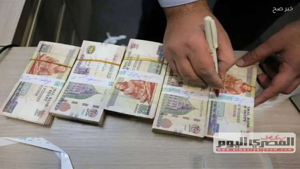 مزايا شهادة سند الادخارية 2026 بعد قرار البنك المركزي الجديد