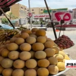 ارتفاع أسعار الفواكه في الأسواق المصرية اليوم 2 يونيو 2026