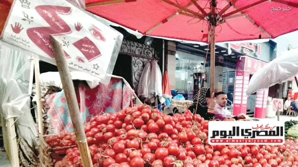 أسعار الخضروات في مصر اليوم: الطماطم تصل إلى 40 جنيهًا