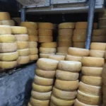 حملة تموينية تضبط 2 طن من الجبن والأقمشة المجهولة في الإسكندرية