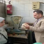 حملات تموينية تضبط 401 طن سولار وبنزين و7800 أسطوانة بوتاجاز في الإسكندرية